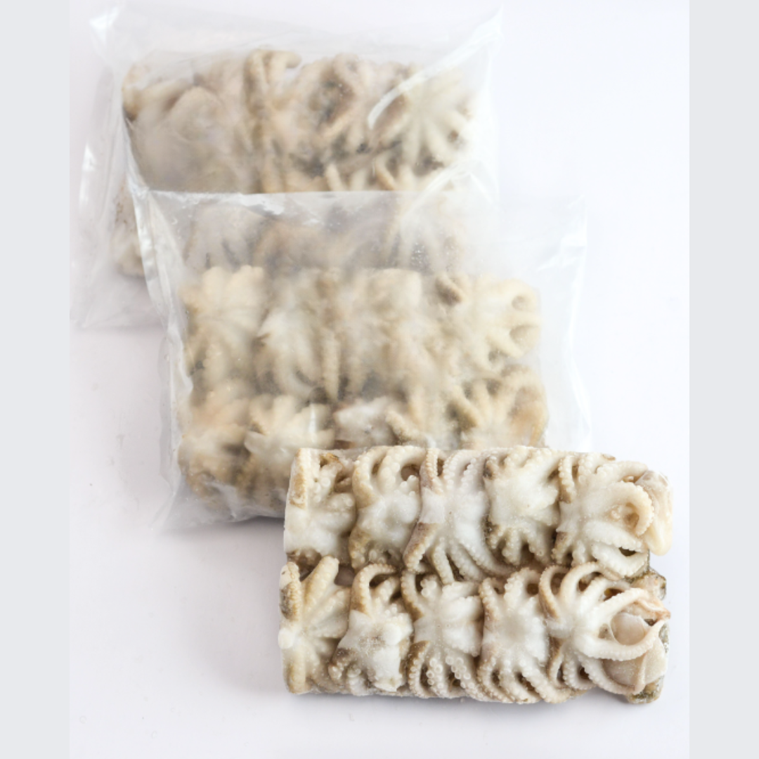 Baby Octopus (8-10PCS/PKT | 250G)