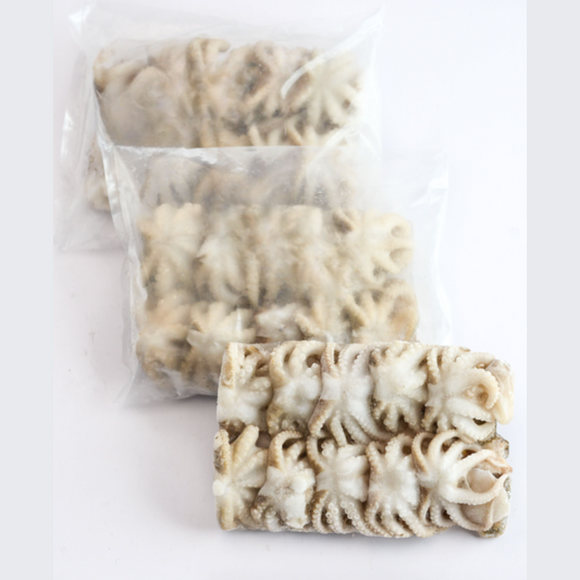 Baby Octopus (8-10PCS/PKT | 250G)