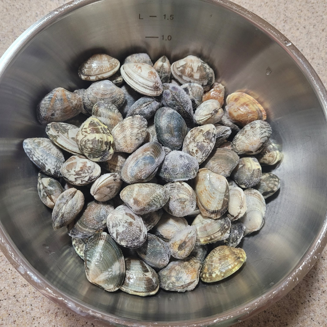 Asari Clam 21/30