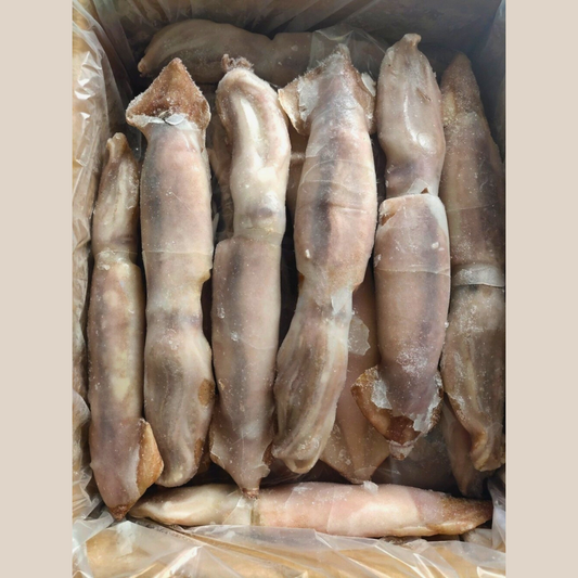 Argentina Squid (2-3PCS/KG)