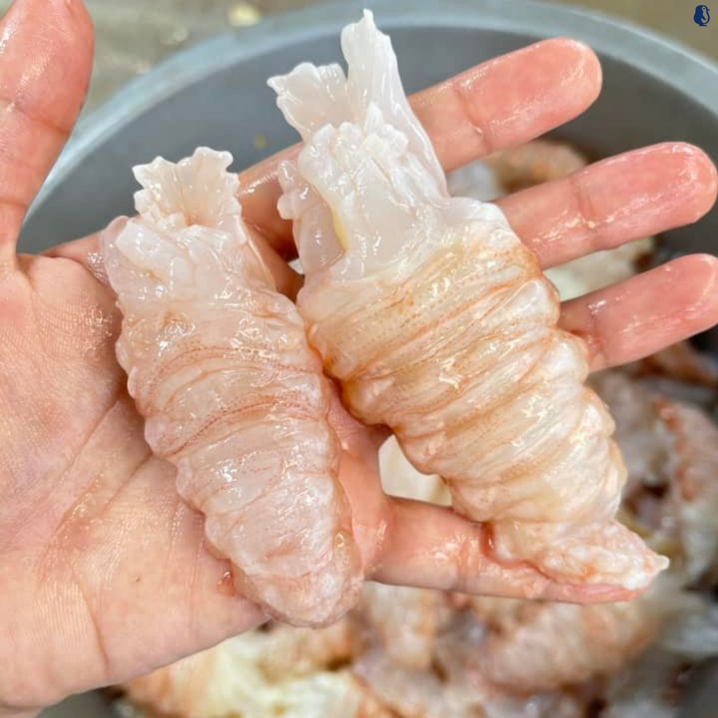 Slipper Lobster Tail Meat (400G±)