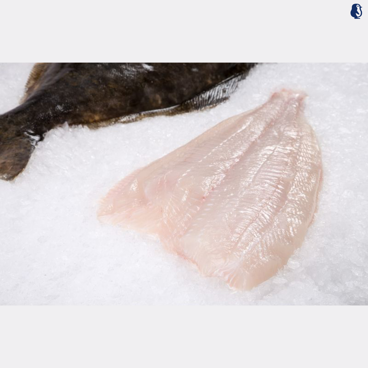 Greenland Halibut Fillet (700-800G/PC)
