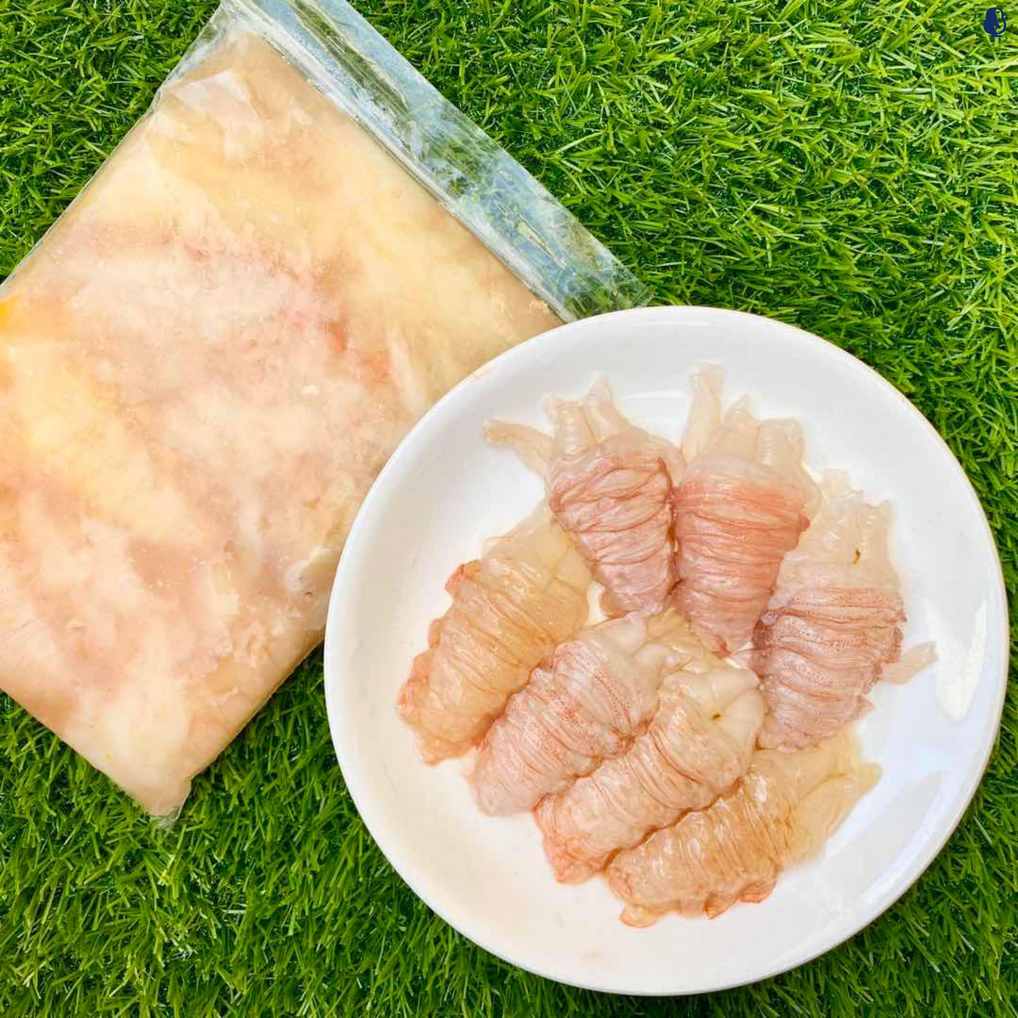 Slipper Lobster Tail Meat (400G±)
