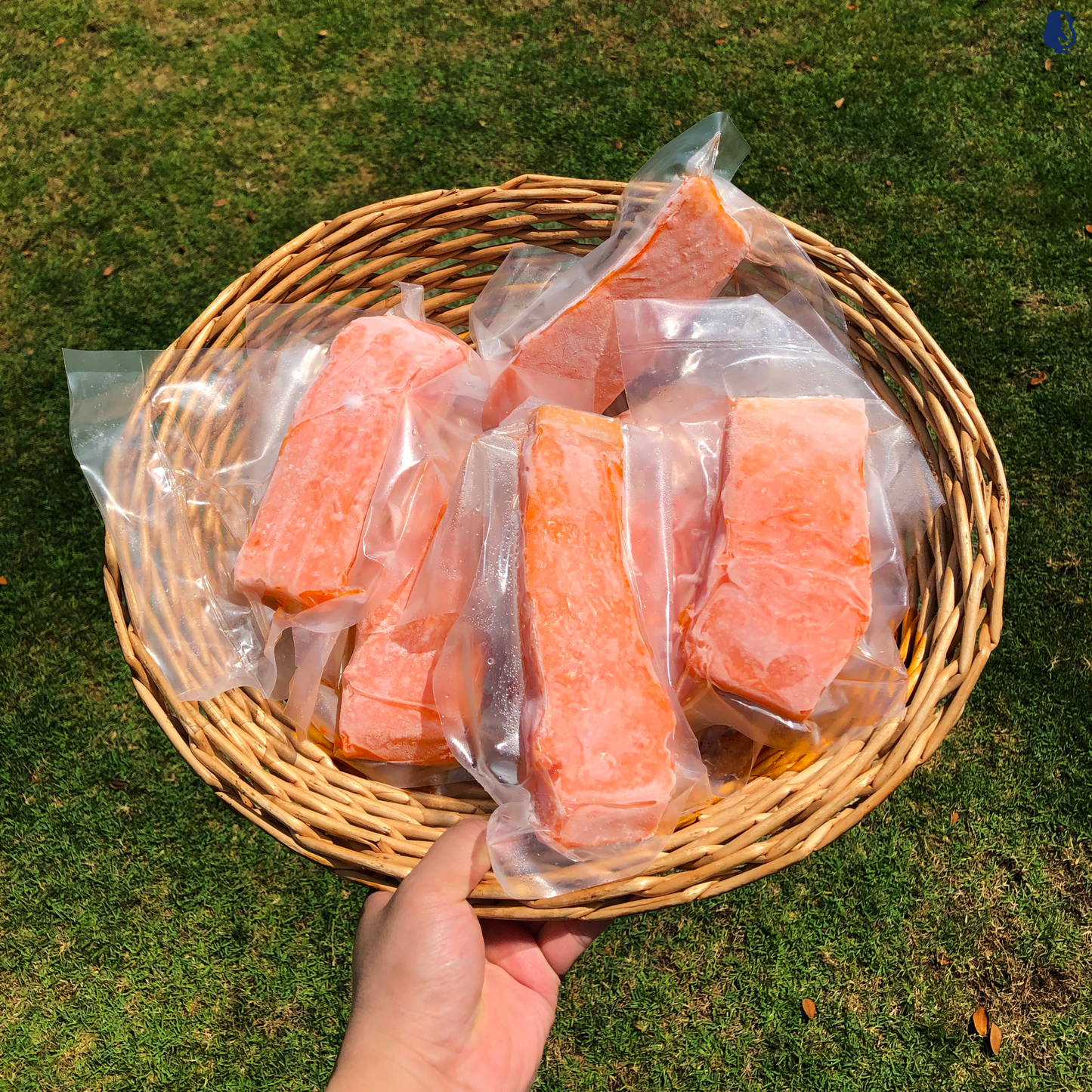 Atlantic Salmon Portion Cut (4-5PCS/1KG±)