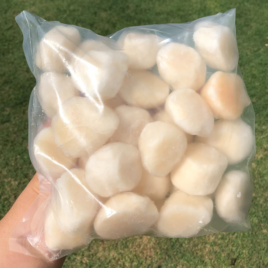 Hokkaido Scallop Meat 21/25 (500G)