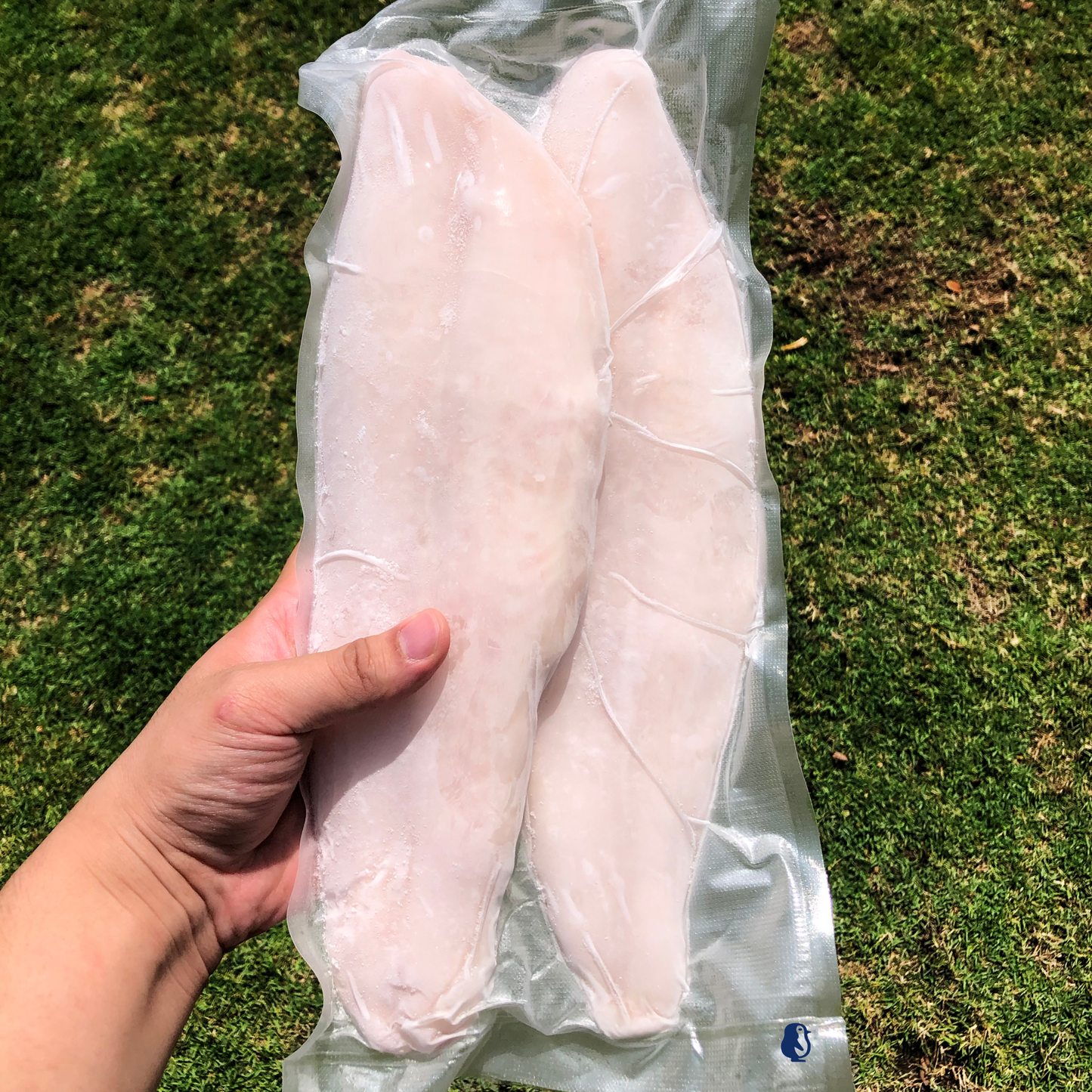 Perch Fillet (2PCS/KG)