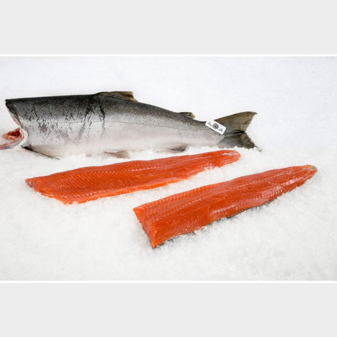 Premium Quality Coho Salmon Fillet