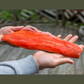 Premium Quality Coho Salmon Fillet