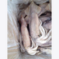 Argentina Squid (2-3PCS/KG)