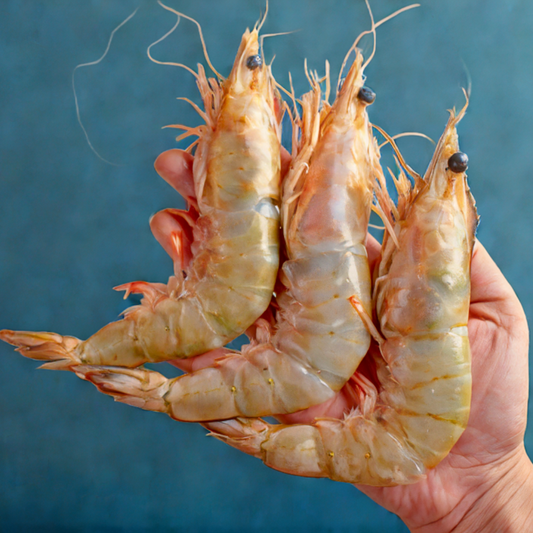 [SEMI-BLOCK] Sea White Prawn / Ming Har (700G)