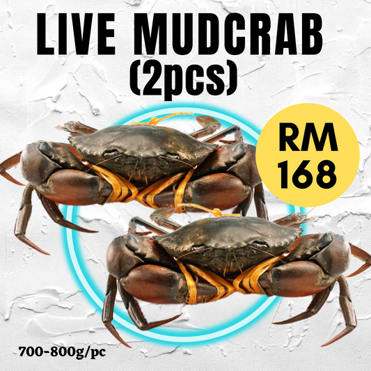 Live Mud-Crab [700-800g/pc] (2PCS/set)