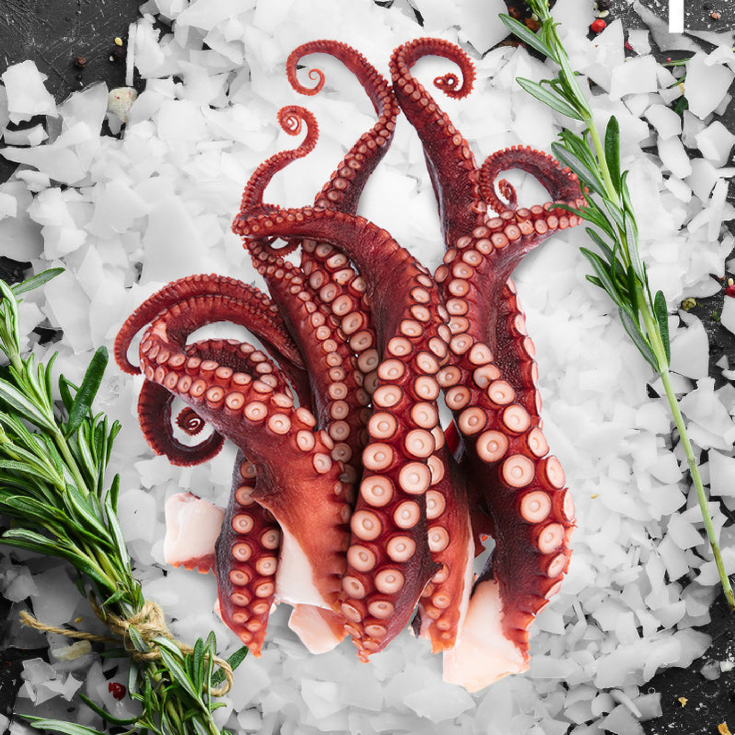 Squid Tentacles 1KG