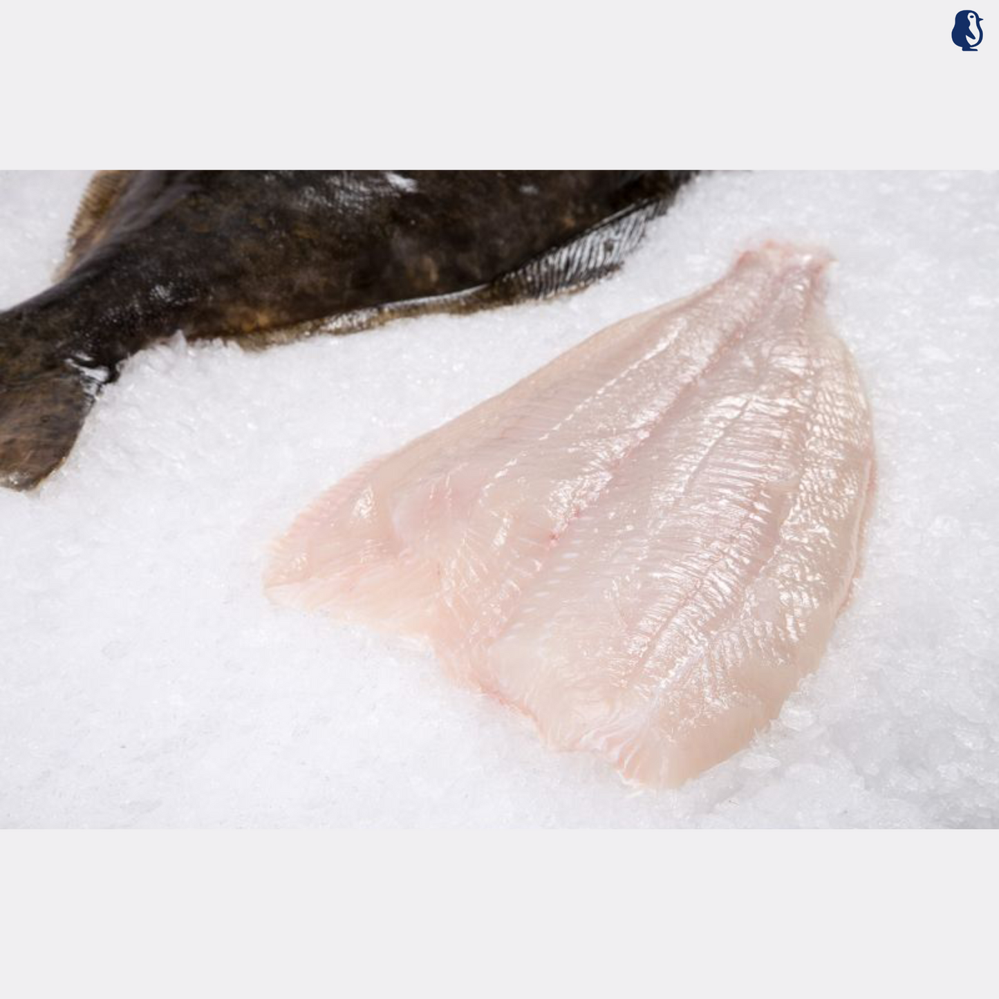 Greenland Halibut Fillet 600-800g