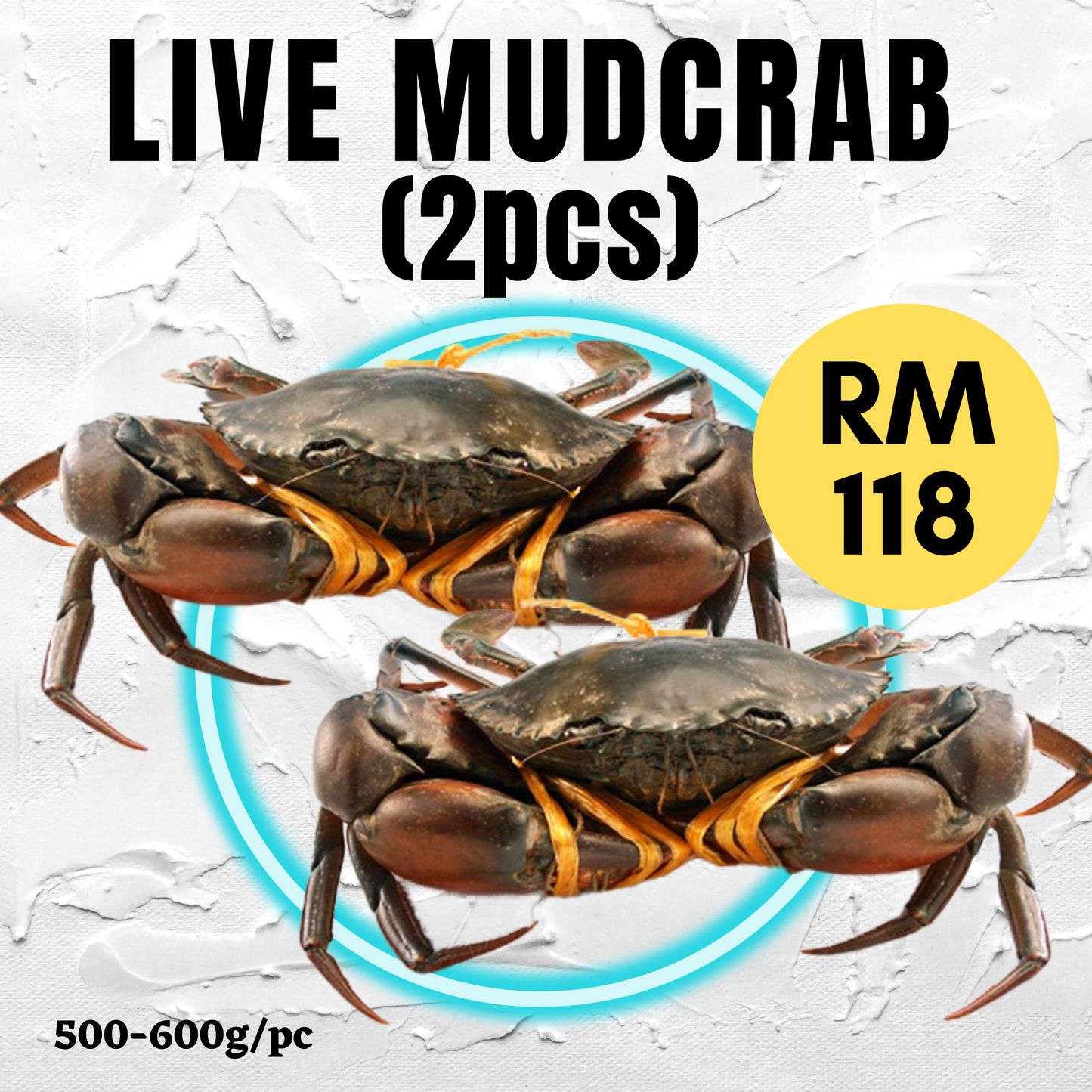 Live Mud-Crab [500-600g/pc] (2PCS/set)