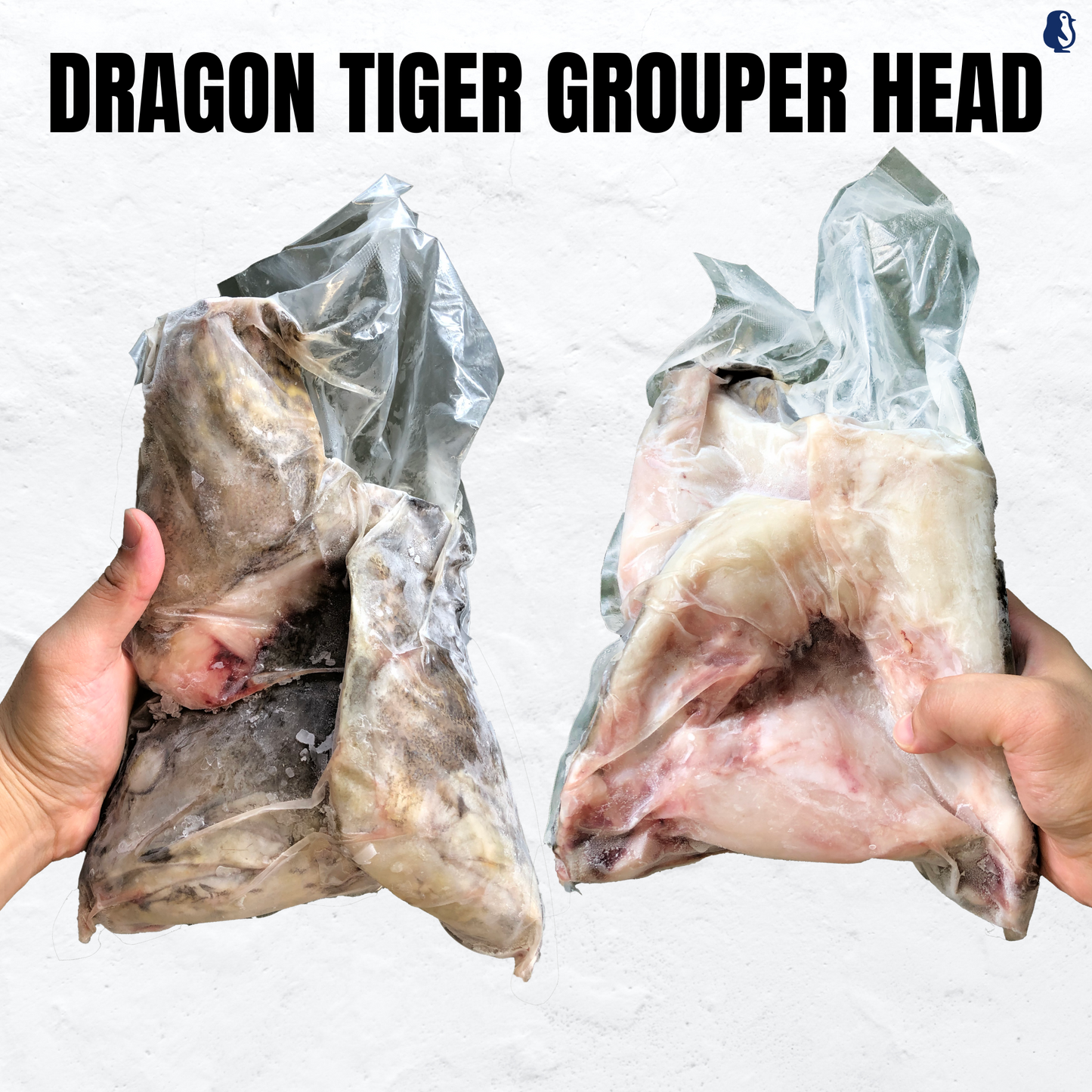 Dragon Tiger Grouper Head | 龙虎斑头 1.5KG - 2KG±