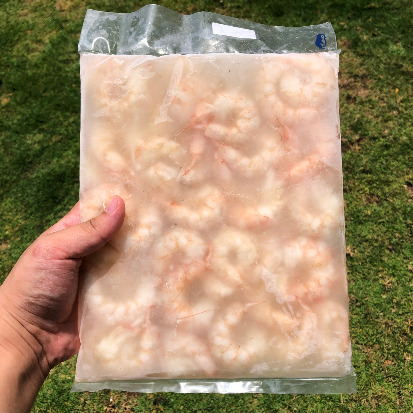 [PUD] Sea Prawn Meat 30/40