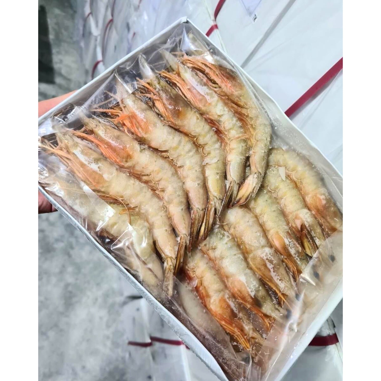 Sea White Prawn / Ming Har 21/25